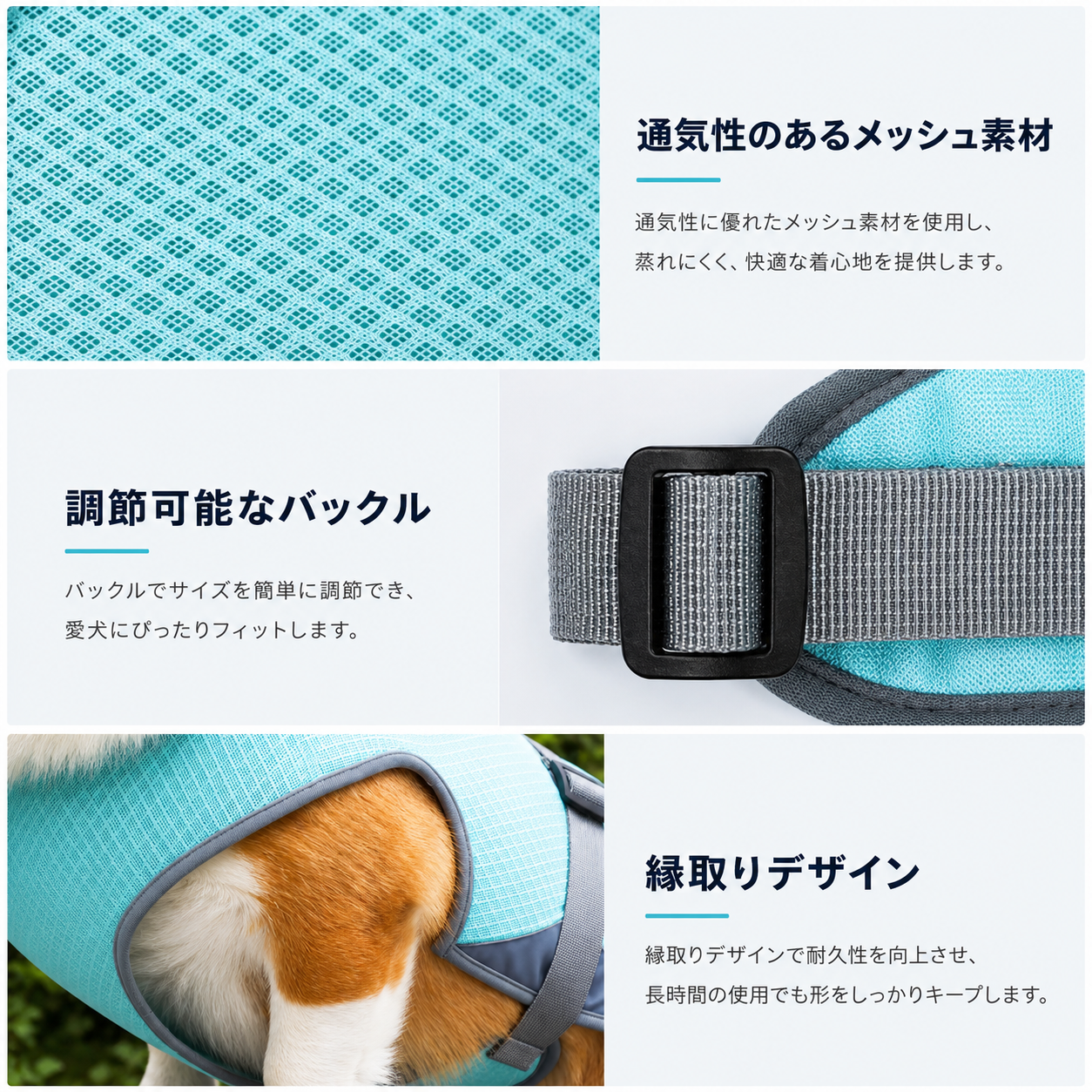 gid://shopify/MediaImage/42650697367811